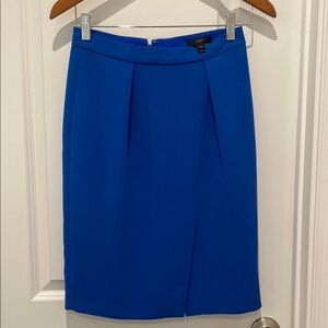 J. Crew Blue Women's Skirt